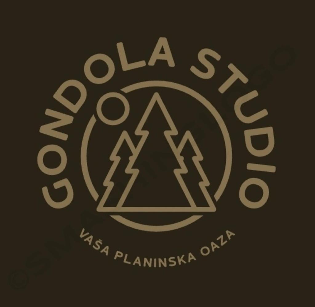 Gondola Studio Brzeće Kopaonik photo 3
