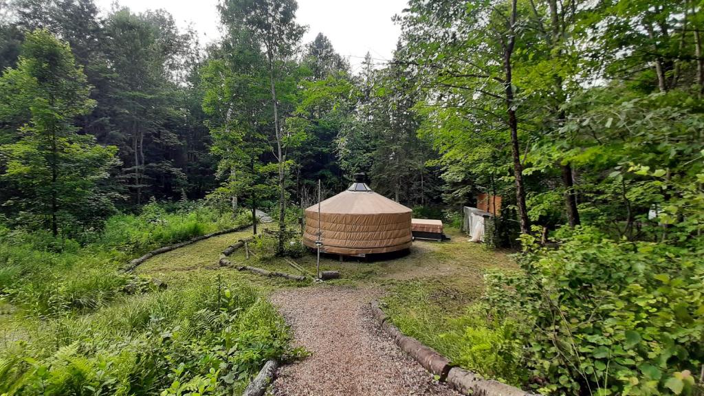 La Bohémienne des yourtes du petit ruisseau photo 1