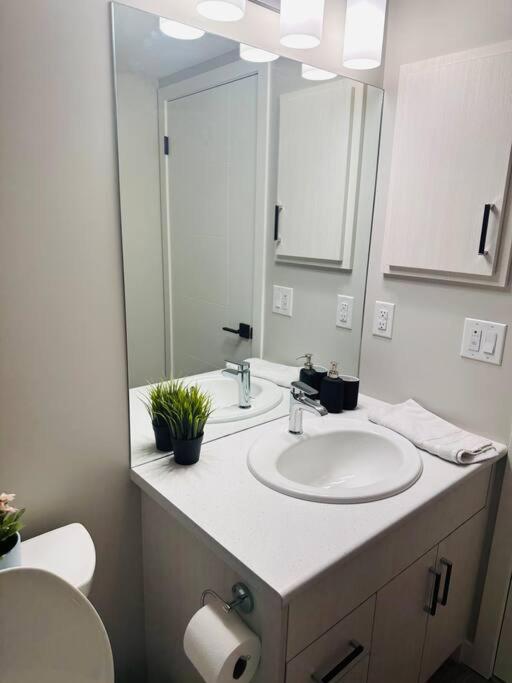 1 Bedroom modern basement suite with private entrance photo 1