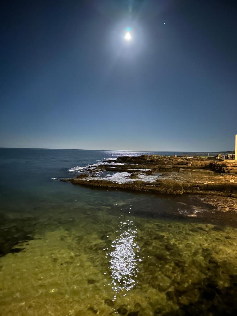 Villa Paola photo 4