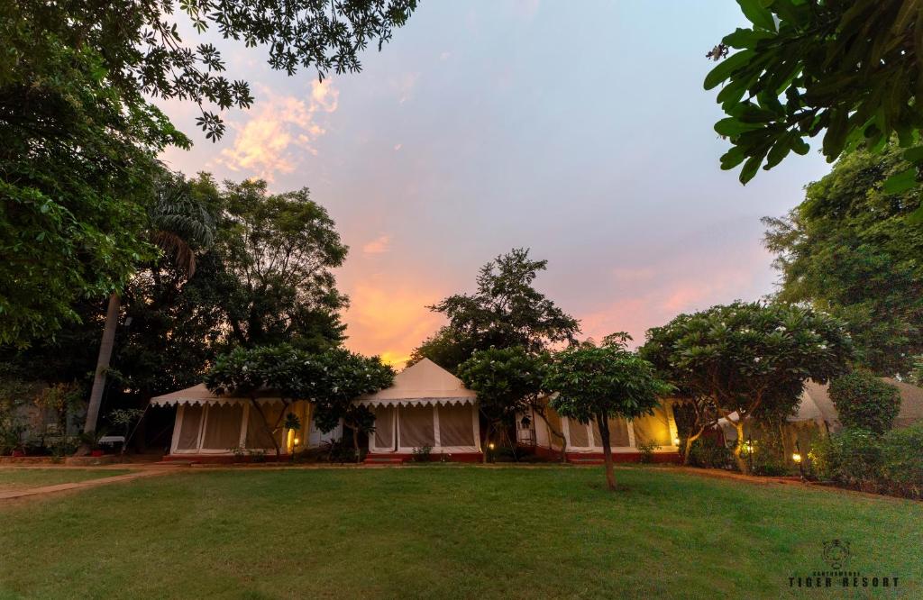 Ranthambore Tiger Resort photo 3