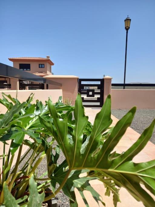 Villa Naya Fuerteventura photo 2