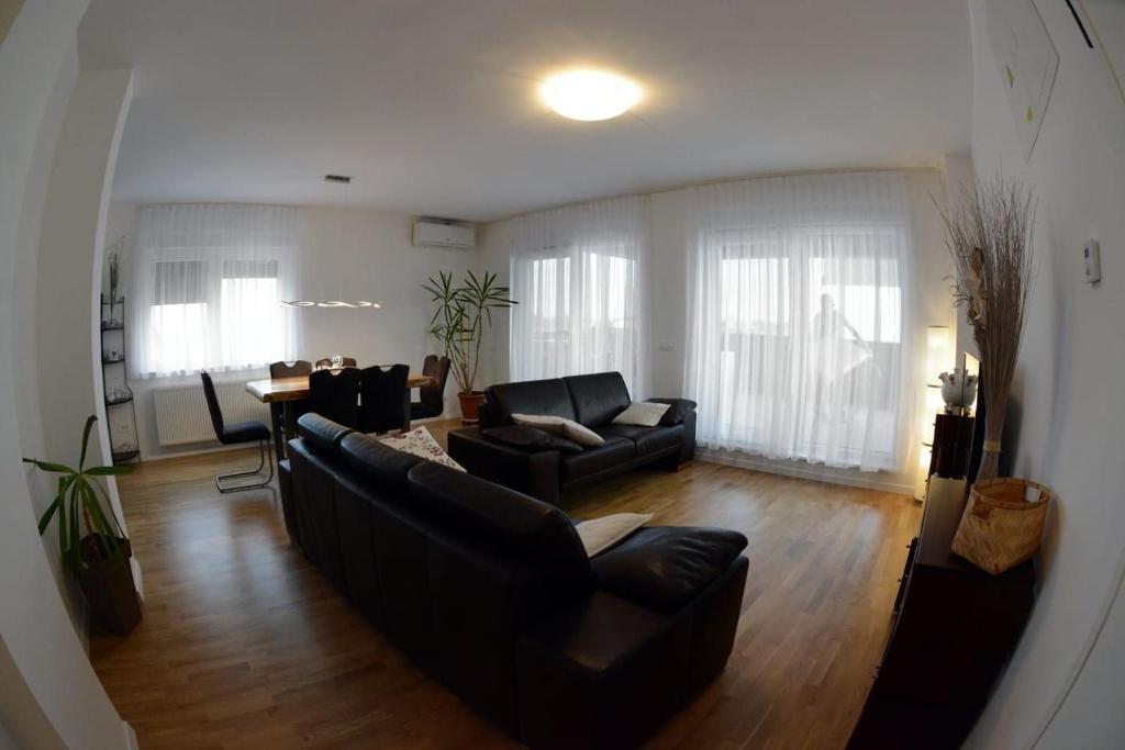 Apartman Blue moon photo 2