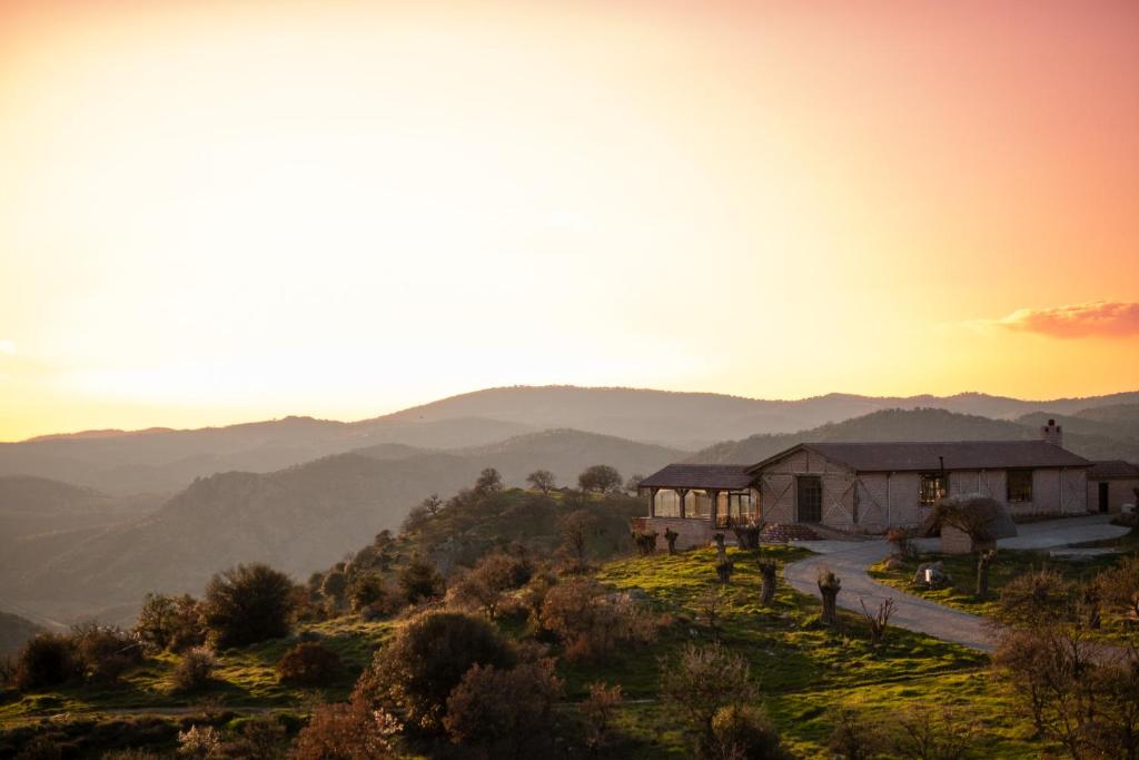MANİCİ ÇİFTLİK photo 4