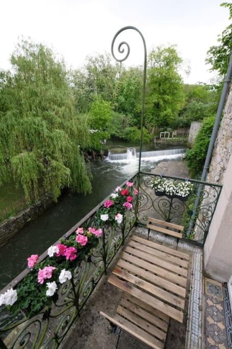 Lavilla dorée photo 4