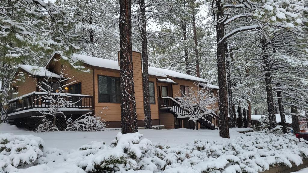 Cheerful Kathys Cabin, Hot Tub, King Bed, Airport, Snowbowl, NAU, Downtown attractions!