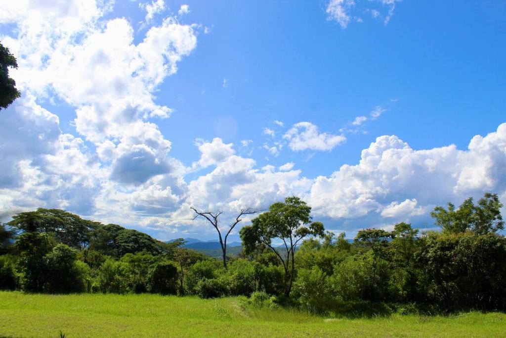 Lovely 4 bed in Mutare - 2178 photo 2