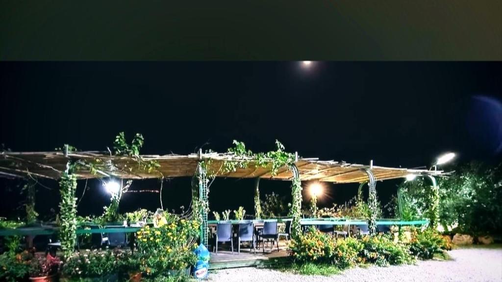 Villaggio dei Balocchi photo 1