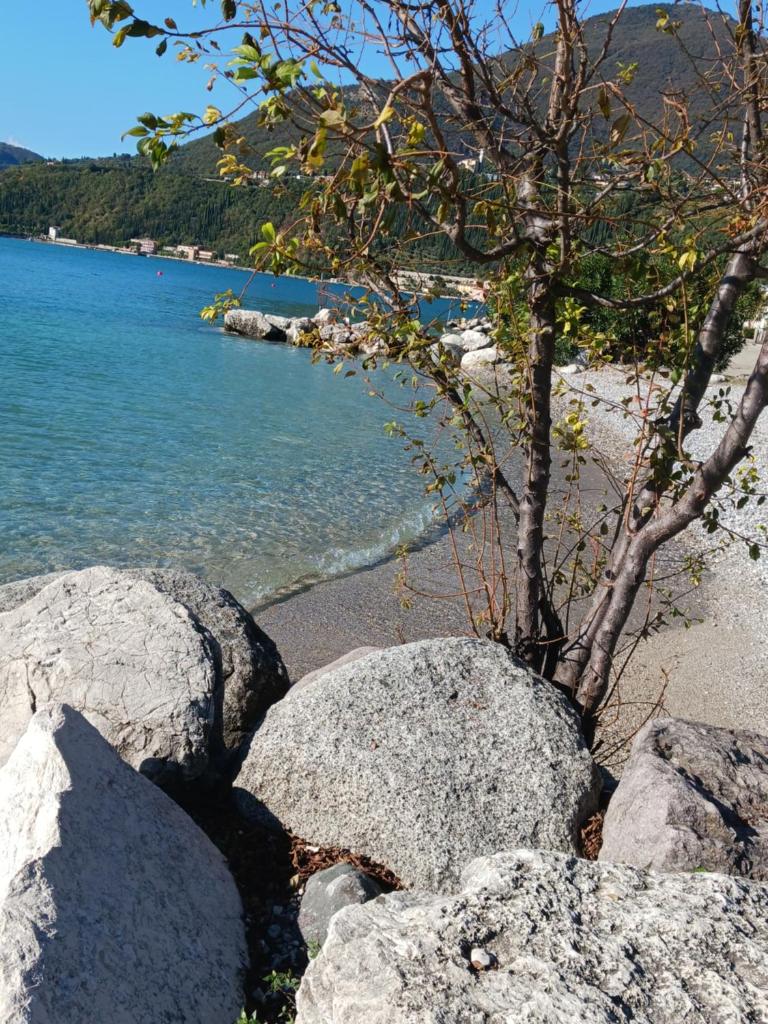 villetta le palme photo 3