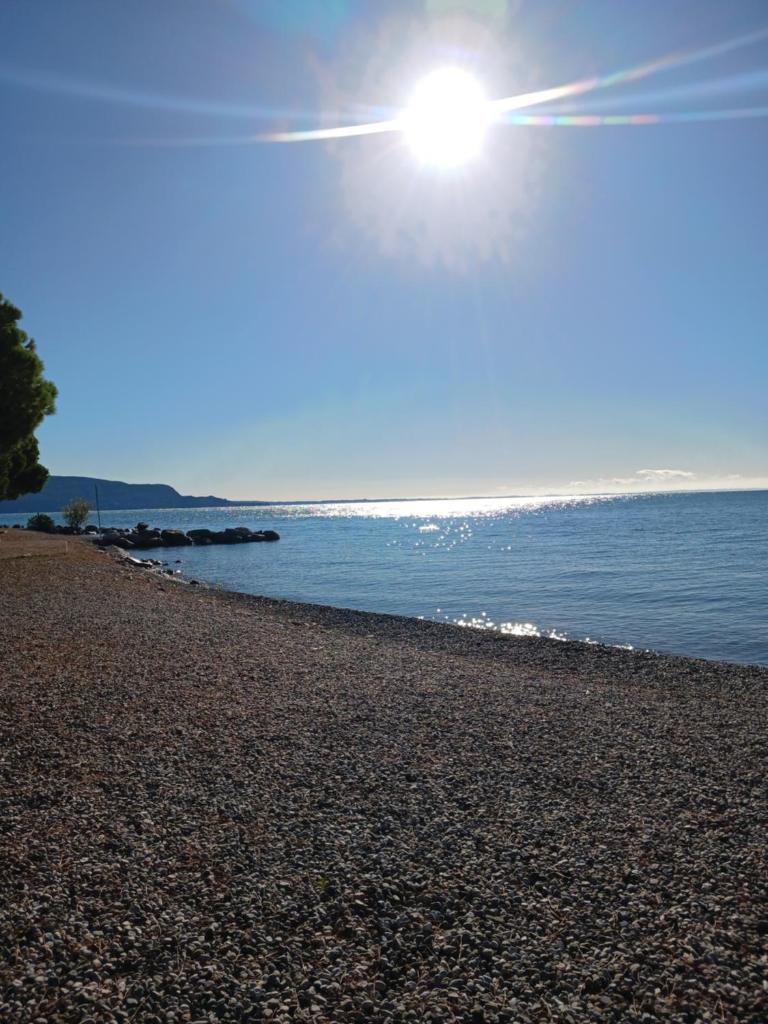 villetta le palme photo 1