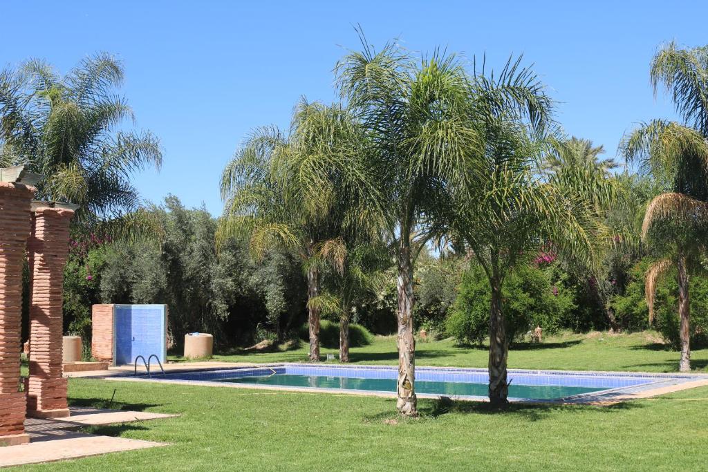 nakhil villa palm photo 2