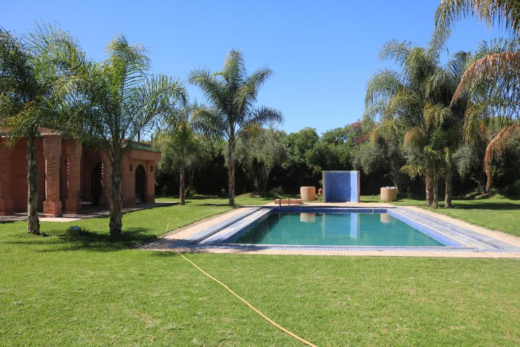nakhil villa palm photo 3