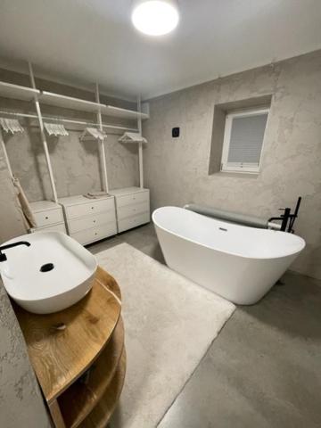 Tiny House, podkrovní apartmán a apartmán s výhledem do zahrady photo 4