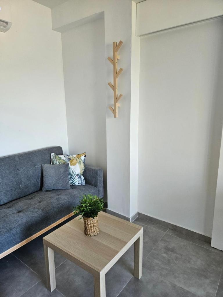 SC apartments 2 photo 4