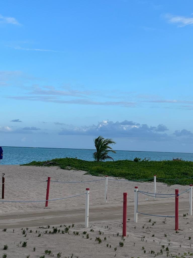 Lotus Antunes Beach photo 2