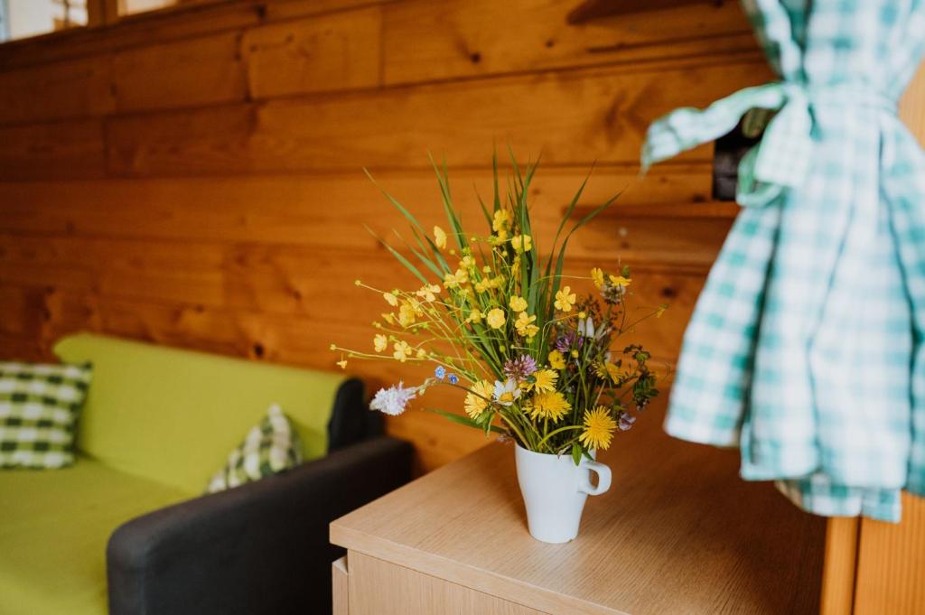 Apartmány Velké Karlovice photo 2
