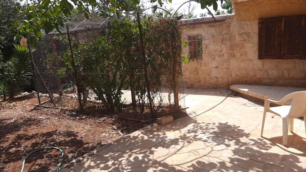 Relaxed garden apartment with Galilee sea view 1 photo 1