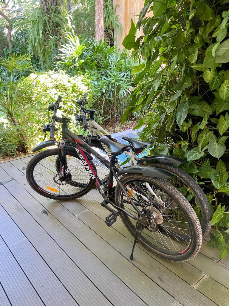 Suha Flamingo 3PN- Dai Lai- HO06