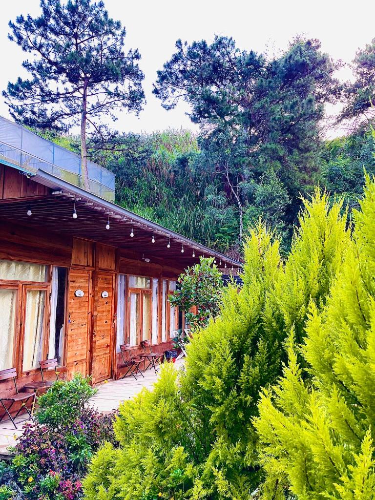 Lâm Bích Homestay & Coffee