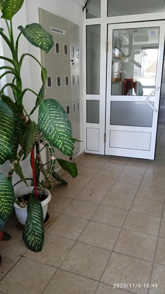 Apartman Mira photo 3