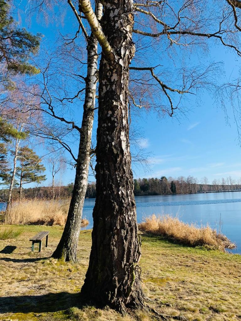 Apartmány U Zlaté Rybky photo 1