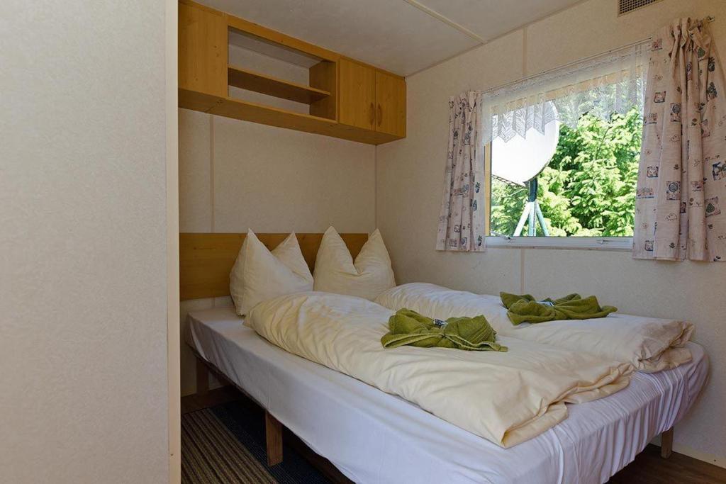 Mobilheim-fuer-2-Personen-auf-der-Insel-Ruegen photo 3
