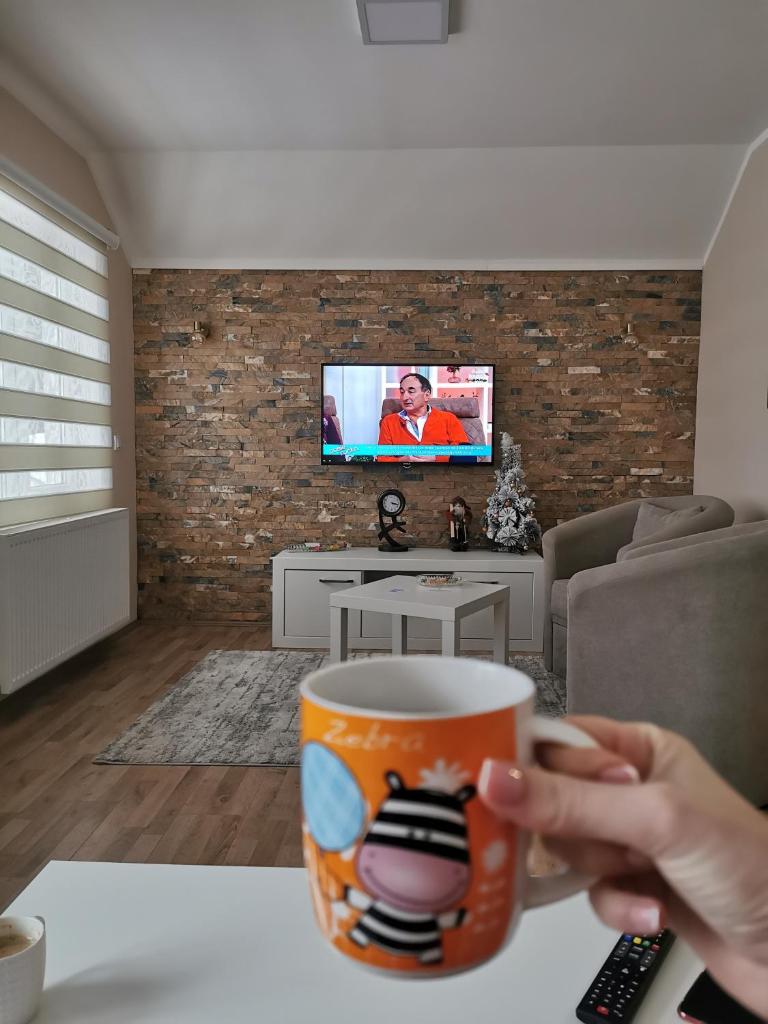 Apartman Pogled Arilje photo 1