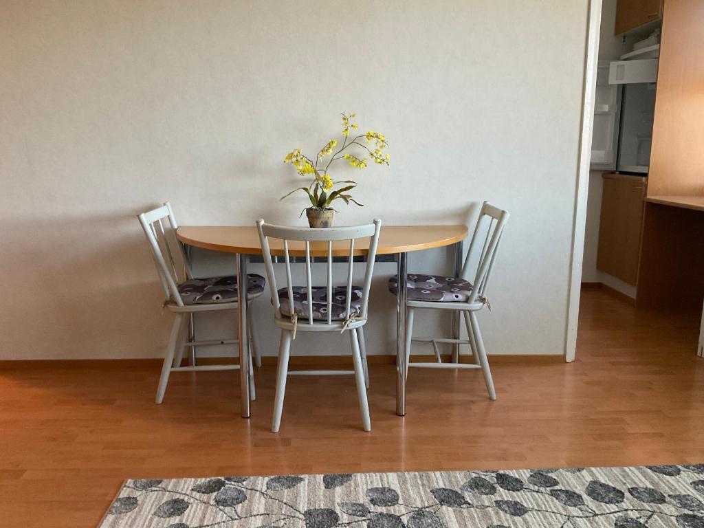 Studiohuoneisto Lohja keskusta photo 1