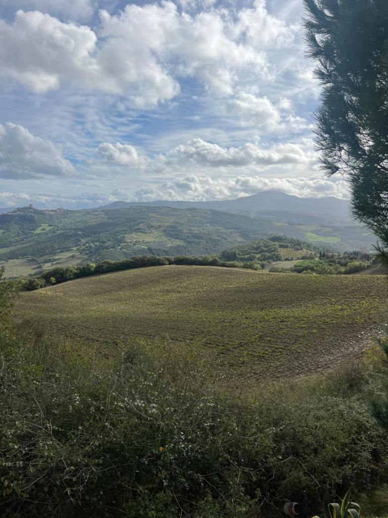 La Casa di Vignoni Alto photo 4