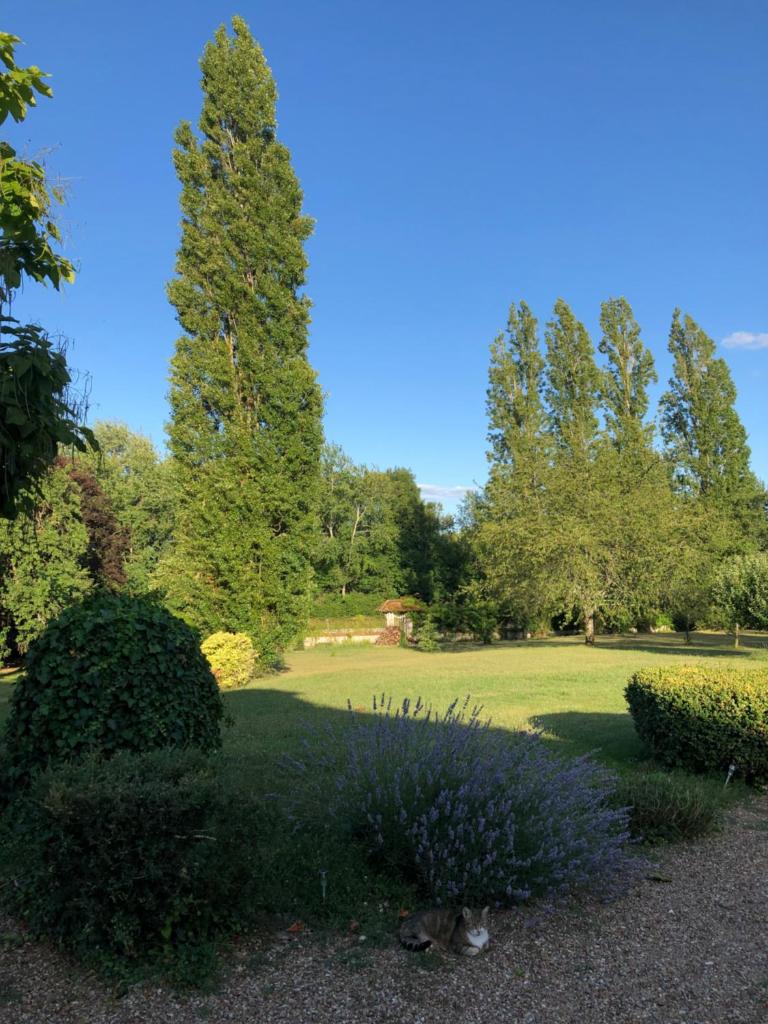 Maison Angulus Ridet photo 1
