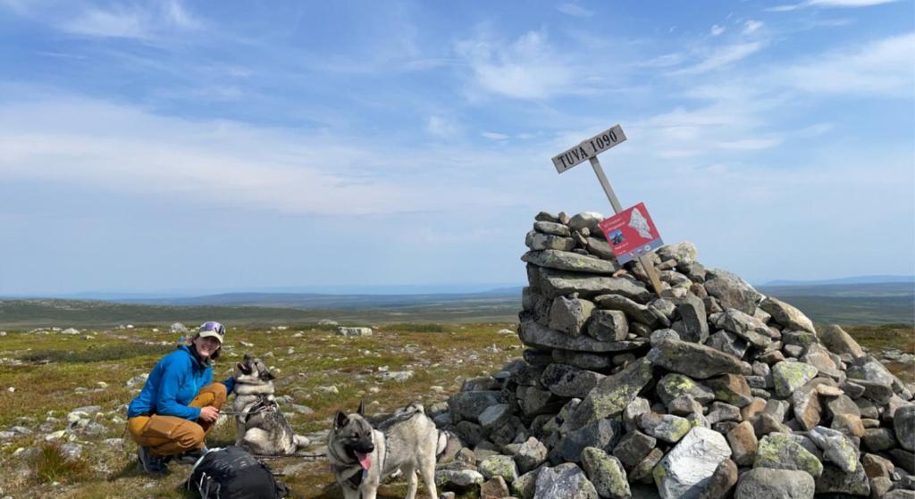 Hytte med Anneks og fantastisk utsikt på Ljøsheim photo 3