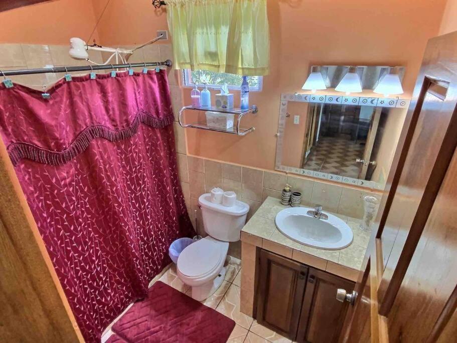 Mountain View Family Home In Town With King Suite photo 4
