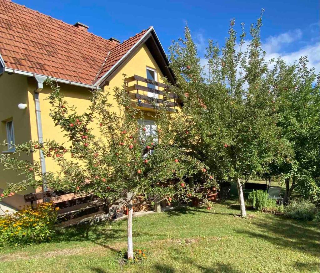 Lepa kuca Tara Kremna photo 1