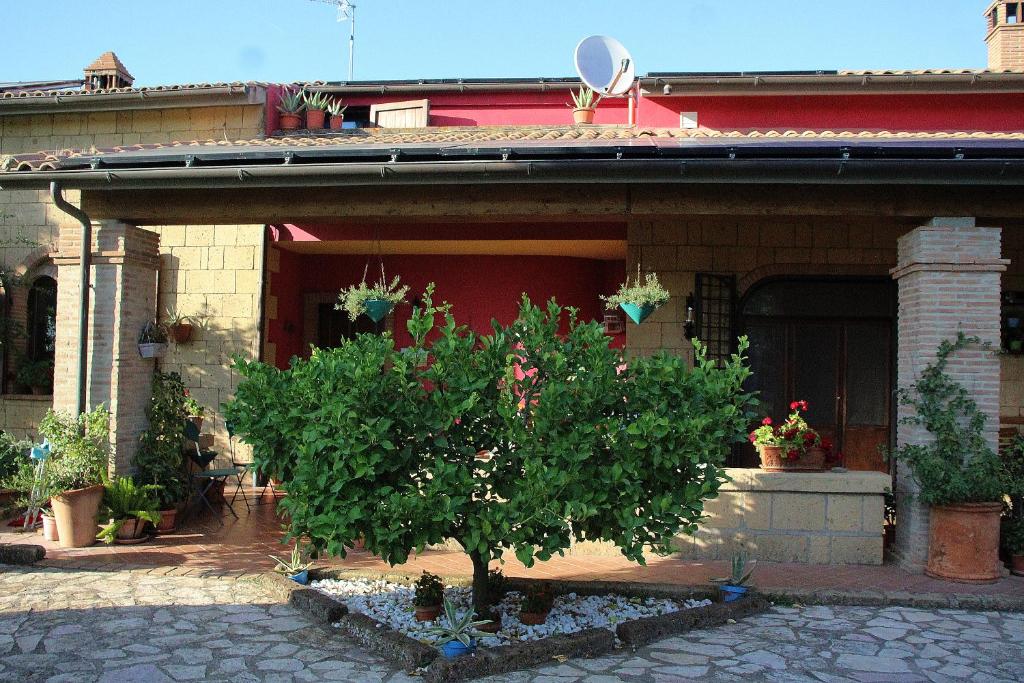 A Casa di Amici photo 2