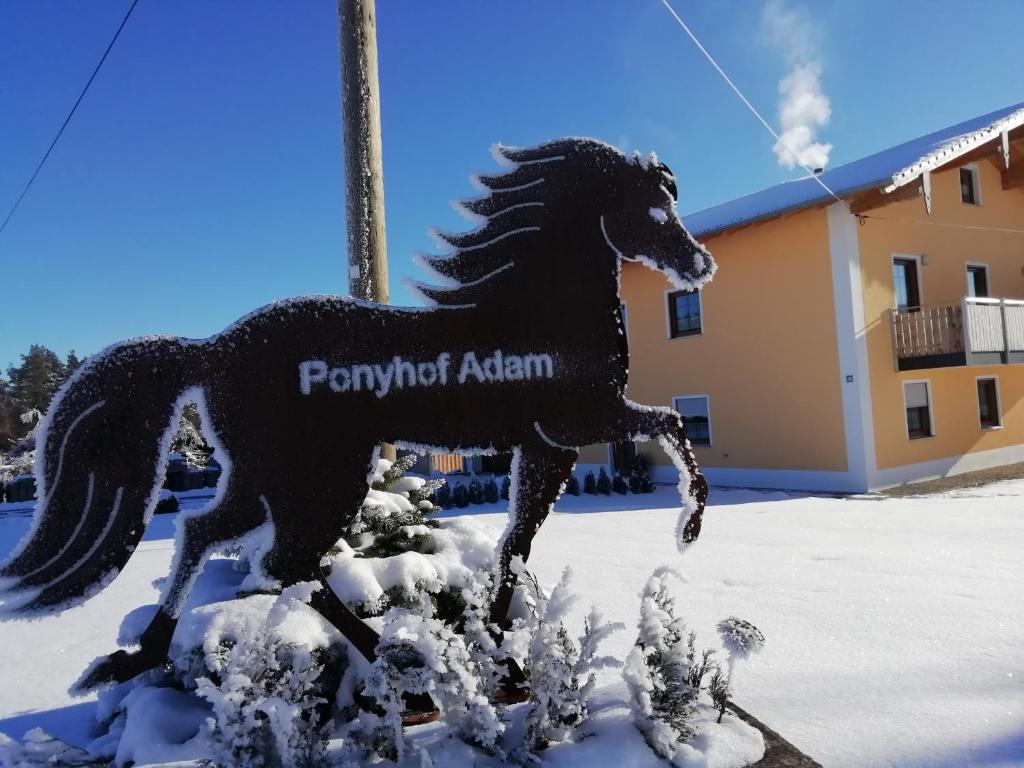 Ponyhof Adam Urlaub auf dem Bauernhof photo 1