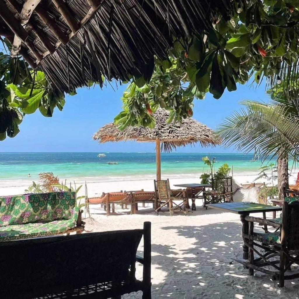 Sipano Beach Lodge Kiwengwa photo 2