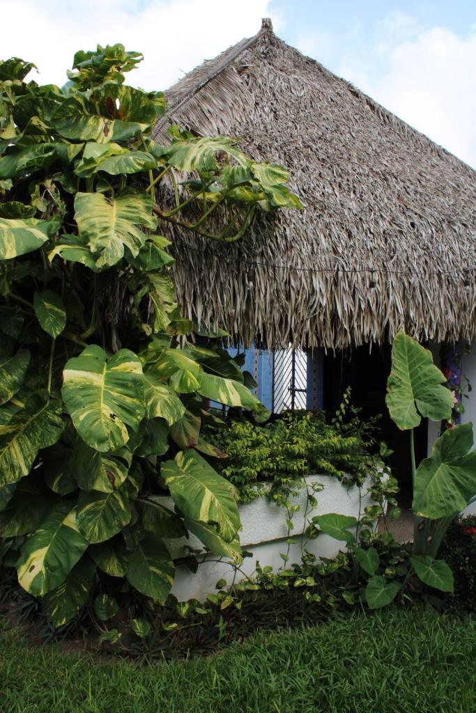 Bungalows Las Tortugas photo 4