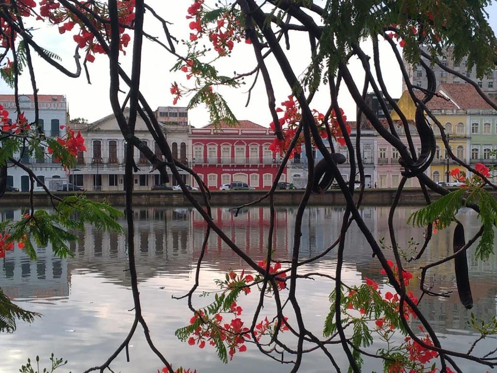 Melhor localização Recife até 8 pessoas photo 3