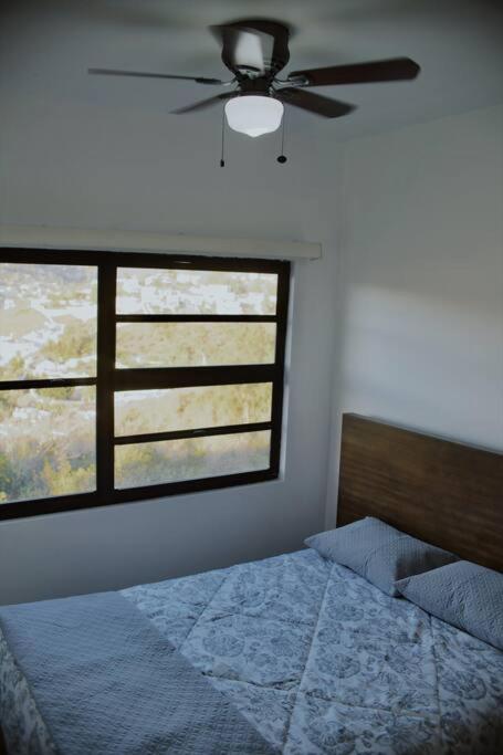 Macfarland Suites photo 4