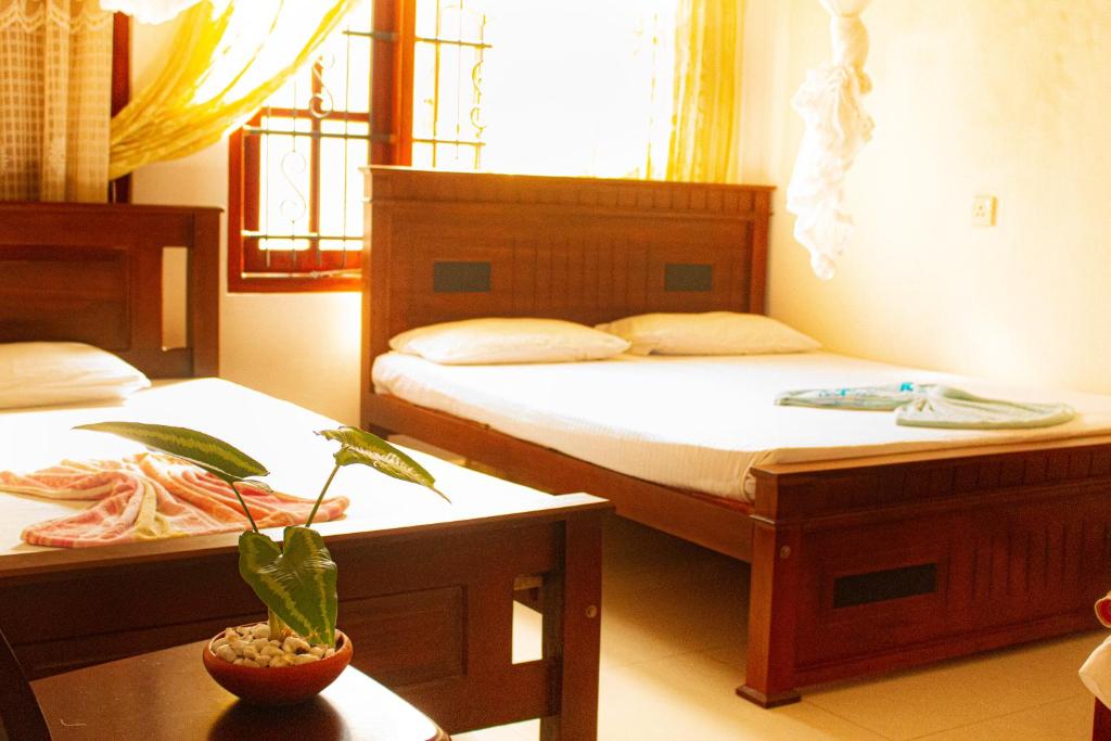 Golden Town Hostel photo 1
