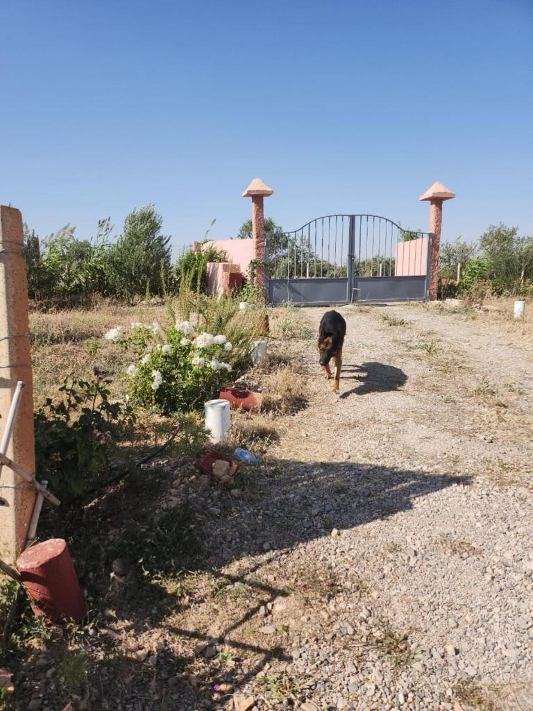 Ferme Jnan Al Yassmine photo 3