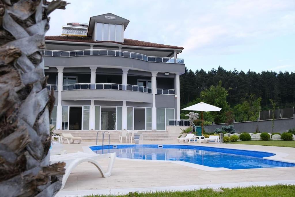 Magnificent villa near Istanbul photo 3