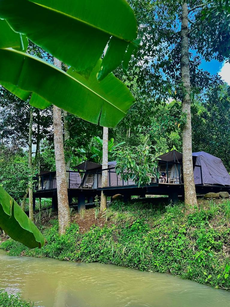 Suối Camp photo 4