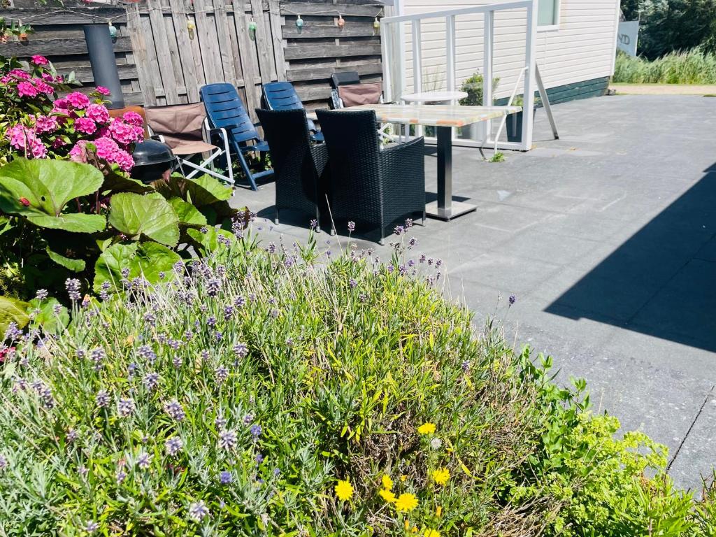 Holiday Caravan Holle Poarte Makkum photo 3