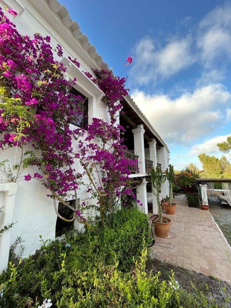 Authentic Finca Ibicenco with Large Pool photo 3