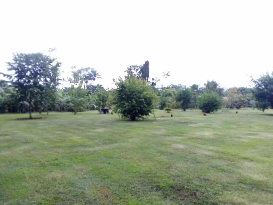 Maison de campagne photo 2