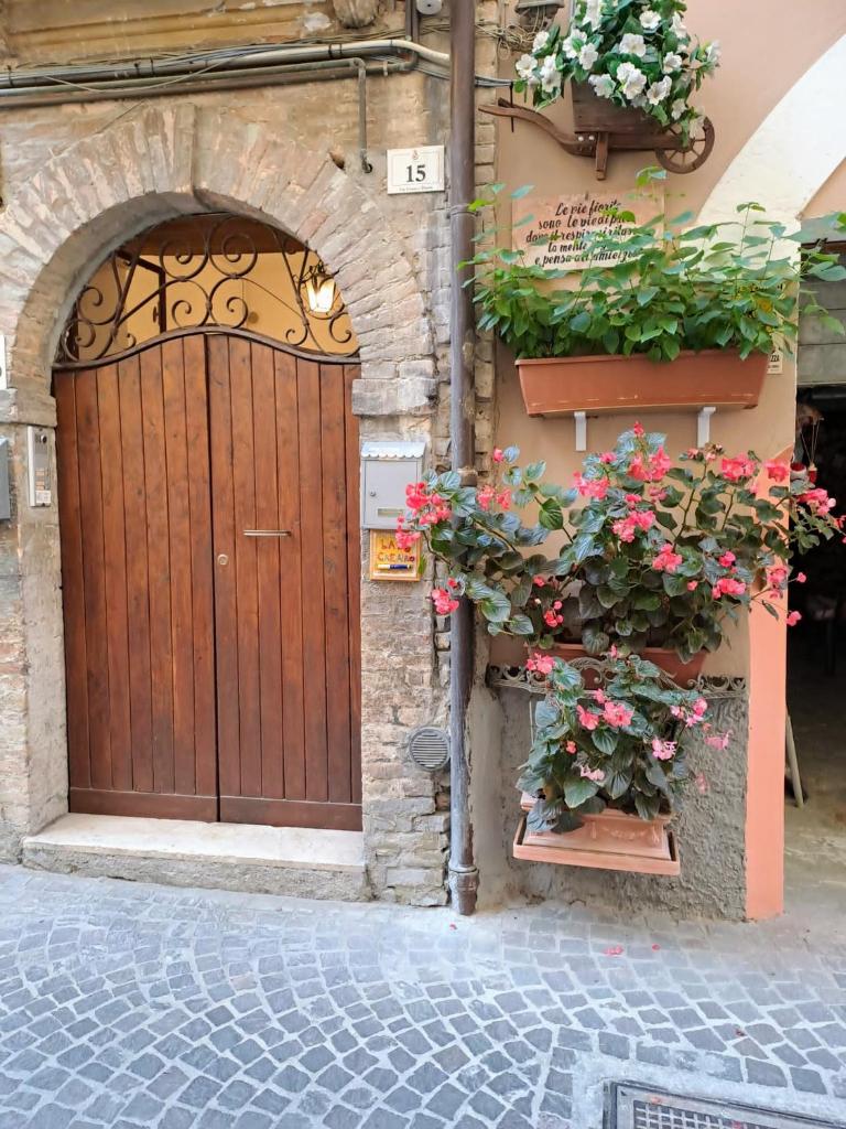 B&B Monolocale Piazza Dante photo 3