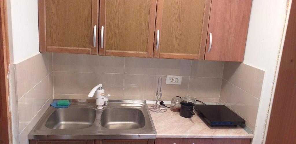 Apartmani u Guči photo 1