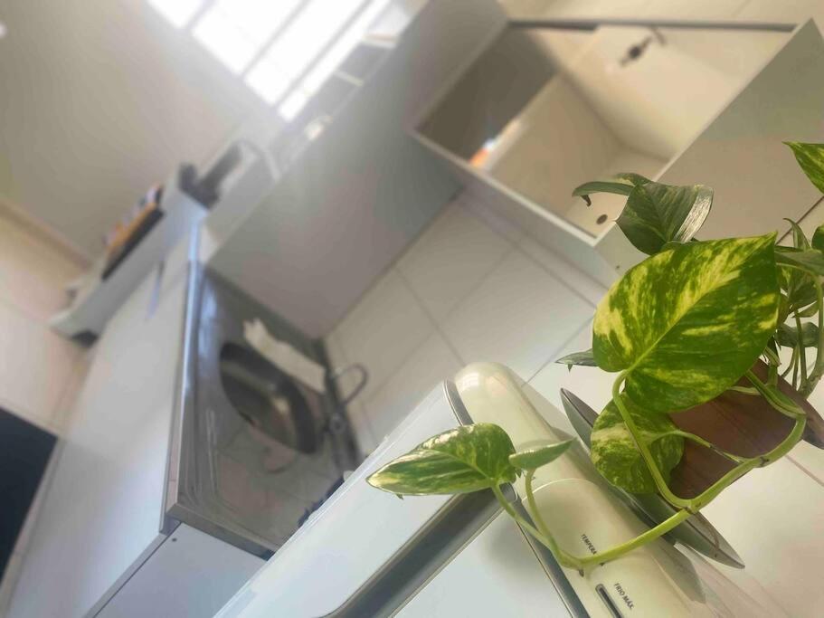 Apartamento próx a uopeccan photo 2