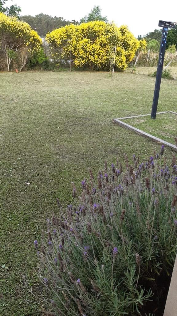 Ruca Newen Mar del Sur photo 4